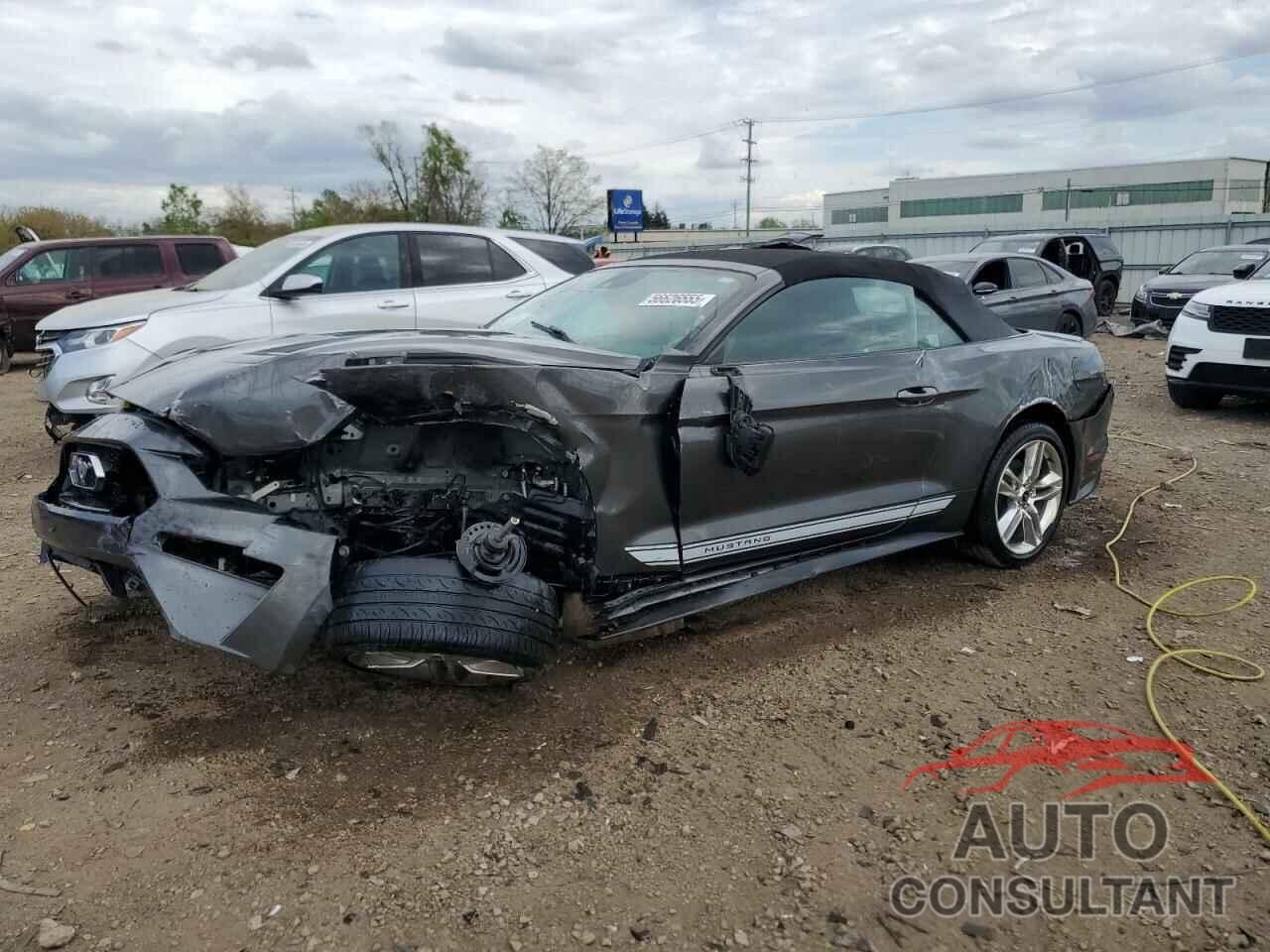 FORD ALL Models 2019 - 1FATP8UH7K5176885