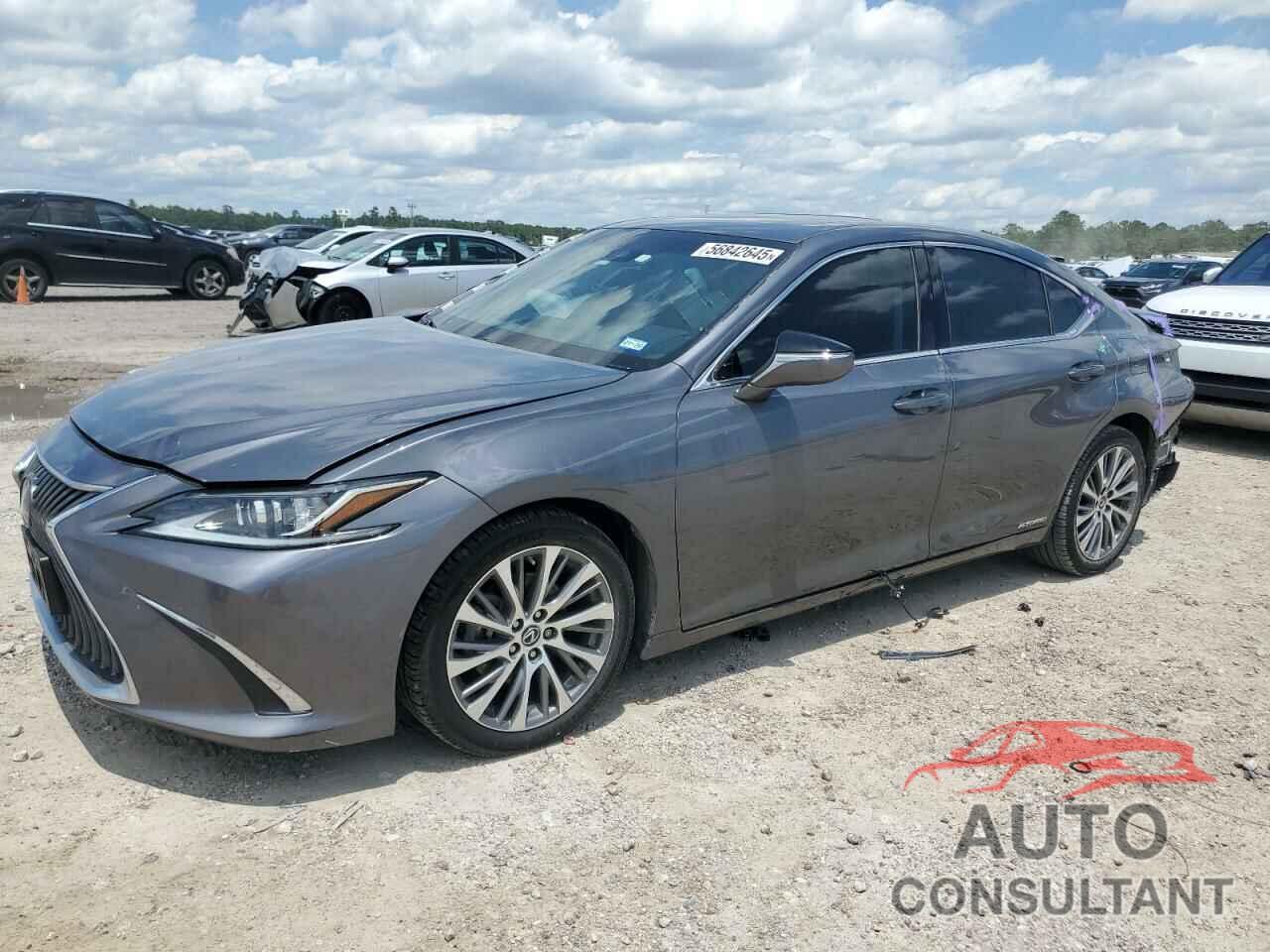 LEXUS ES300 2021 - 58ADA1C19MU004348