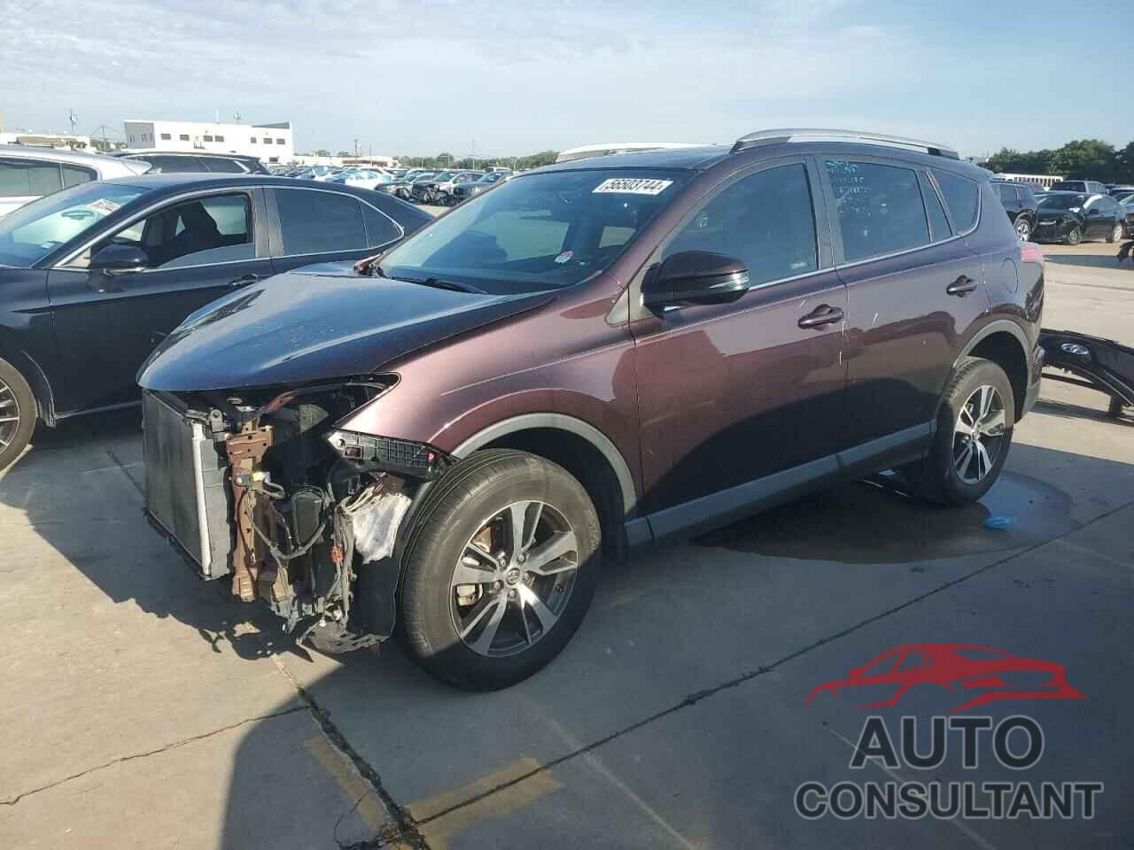 TOYOTA RAV4 2016 - 2T3WFREV4GW244757