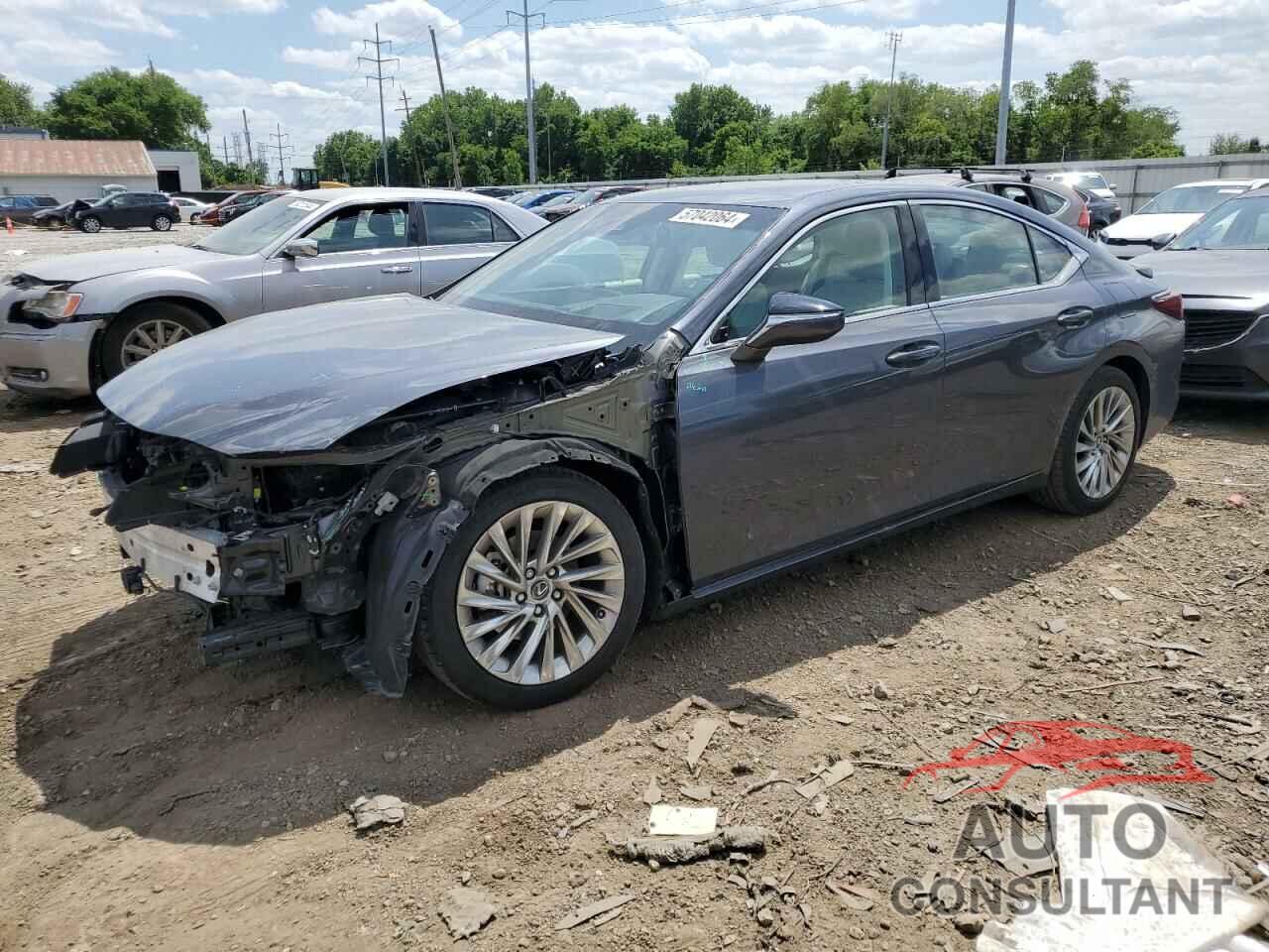 LEXUS ES300 2023 - 58AEA1C13PU028783