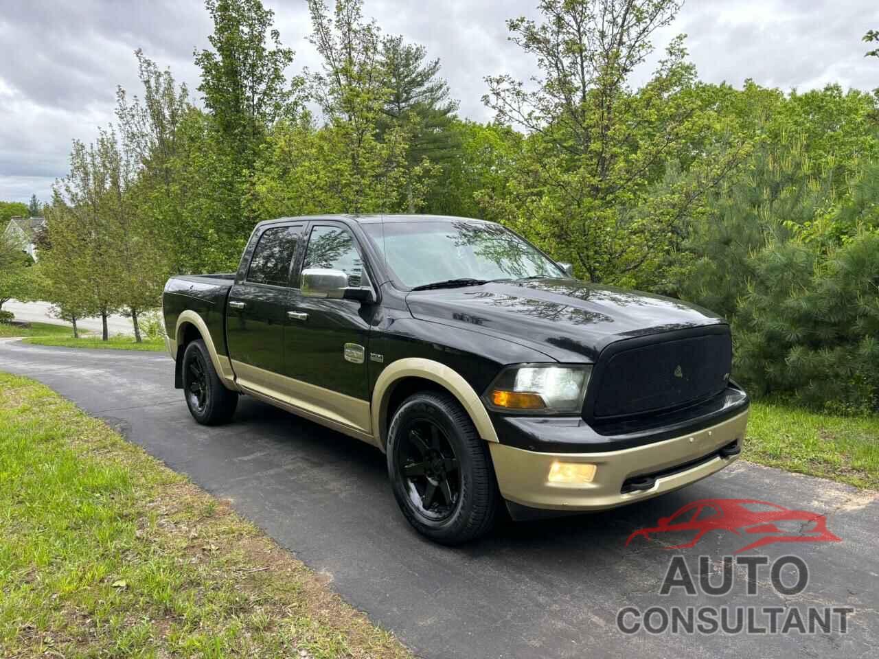 DODGE All Models 2011 - 1D7RV1CT2BS662129