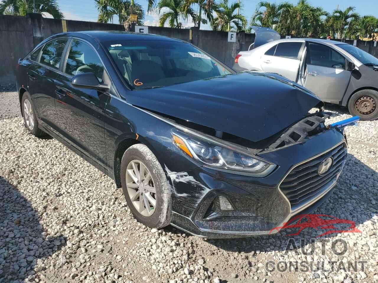 HYUNDAI SONATA 2019 - 5NPE24AF5KH799306