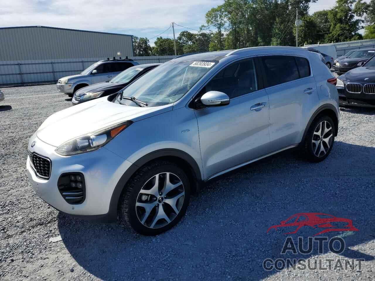 KIA SPORTAGE 2017 - KNDPRCA6XH7210343