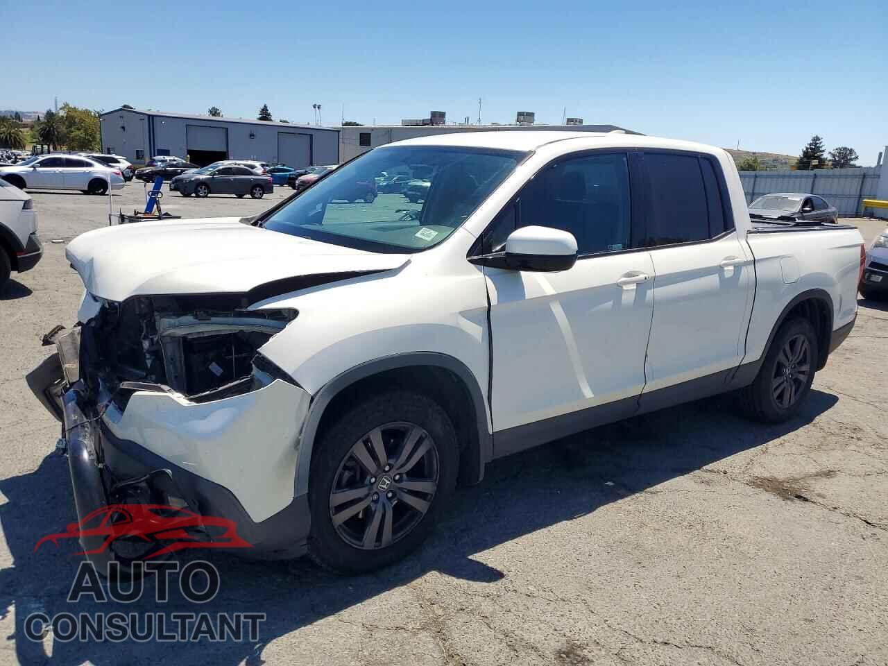 HONDA RIDGELINE 2019 - 5FPYK2F17KB005183