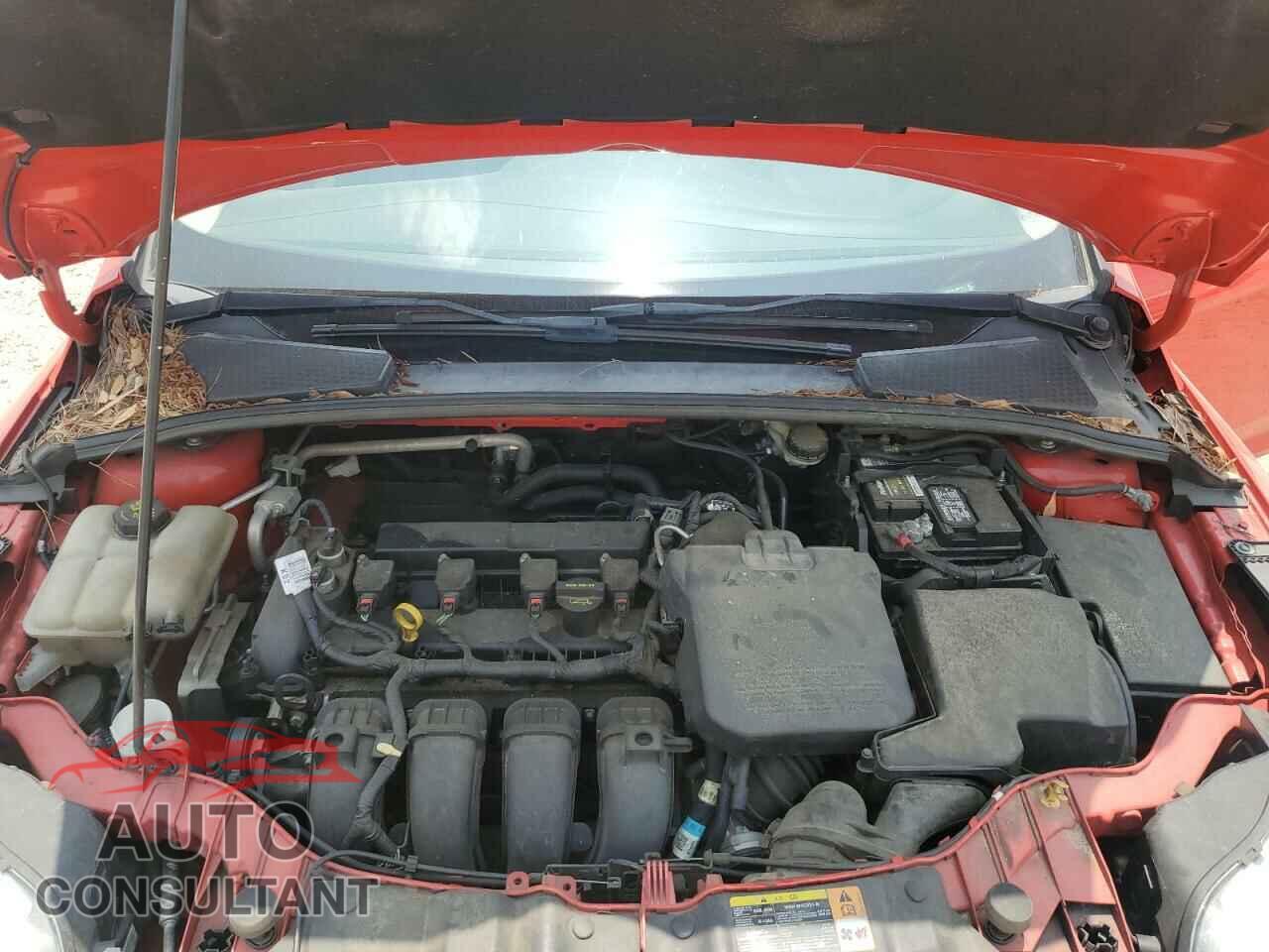 FORD FOCUS 2014 - 1FADP3F29EL216416