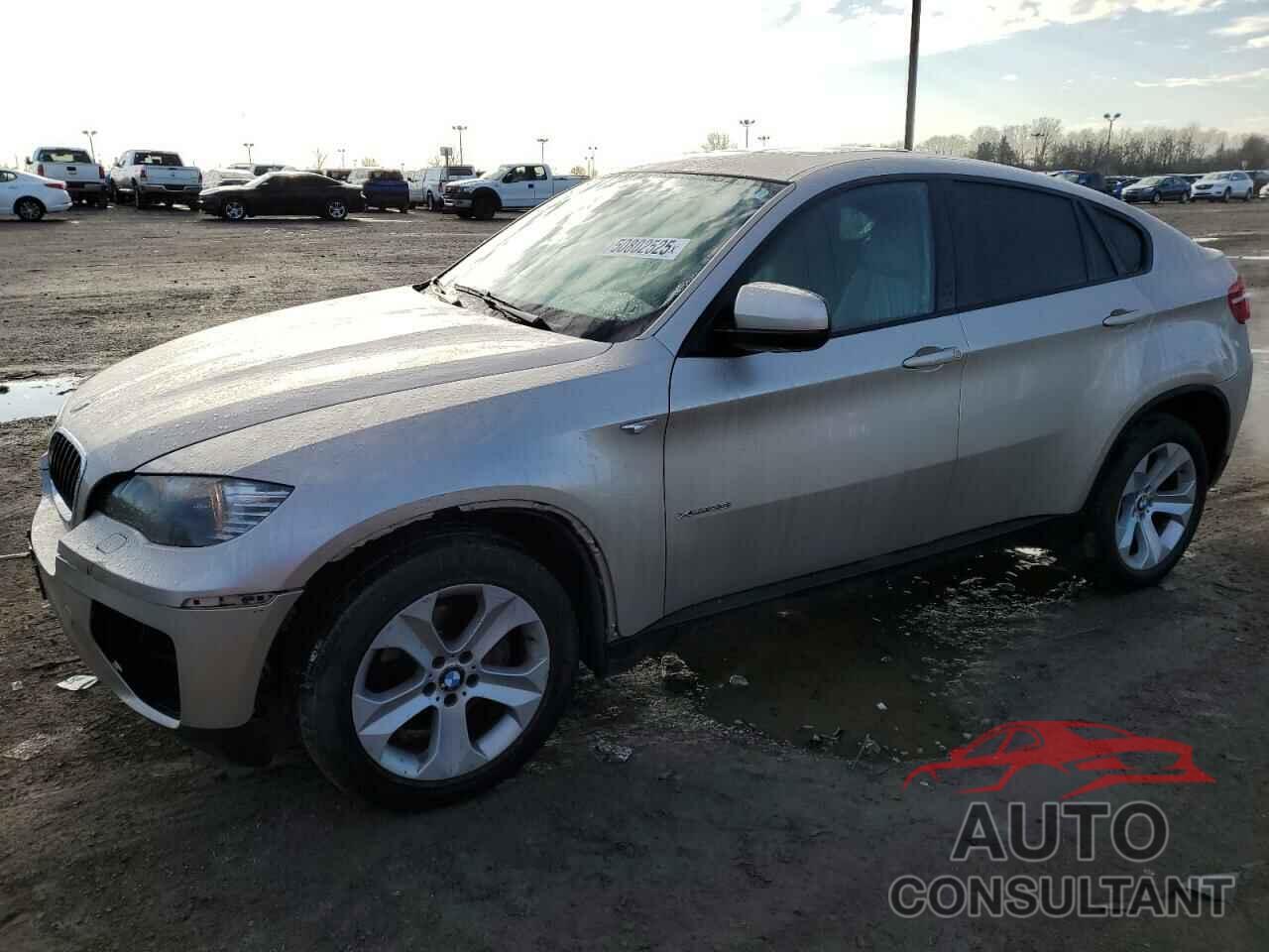 BMW X6 2013 - 5UXFG2C56DL784566
