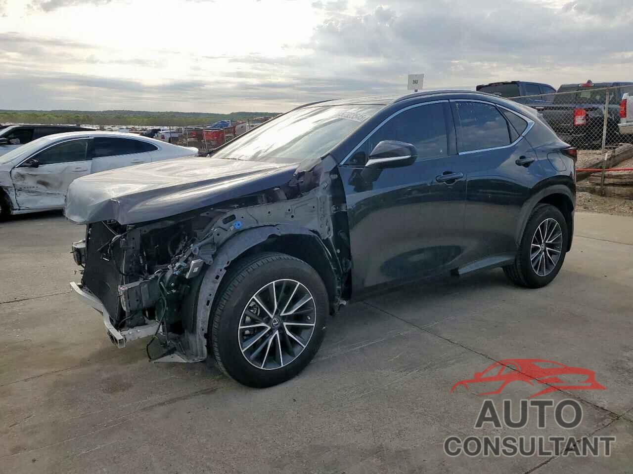LEXUS NX 250 2023 - JTJADCAZXP2006374