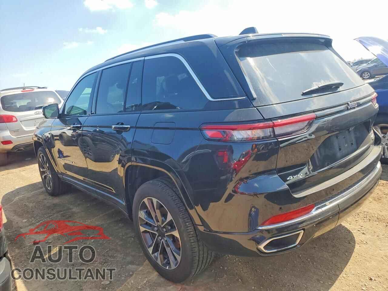 JEEP CHEROKEE 2023 - 1C4RJHDG2PC560461
