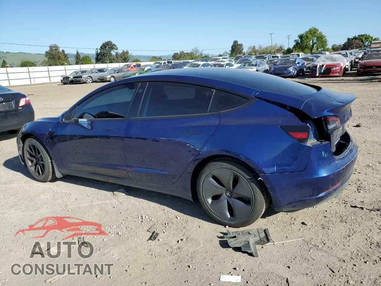 TESLA MODEL 3 2019 - 5YJ3E1EB1KF387869