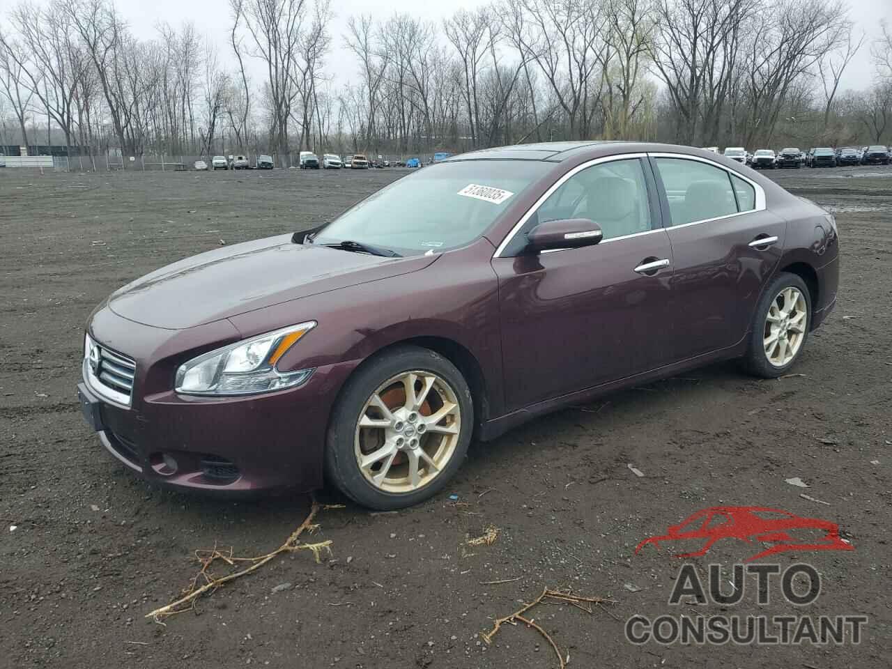 NISSAN MAXIMA 2014 - 1N4AA5AP6EC490238