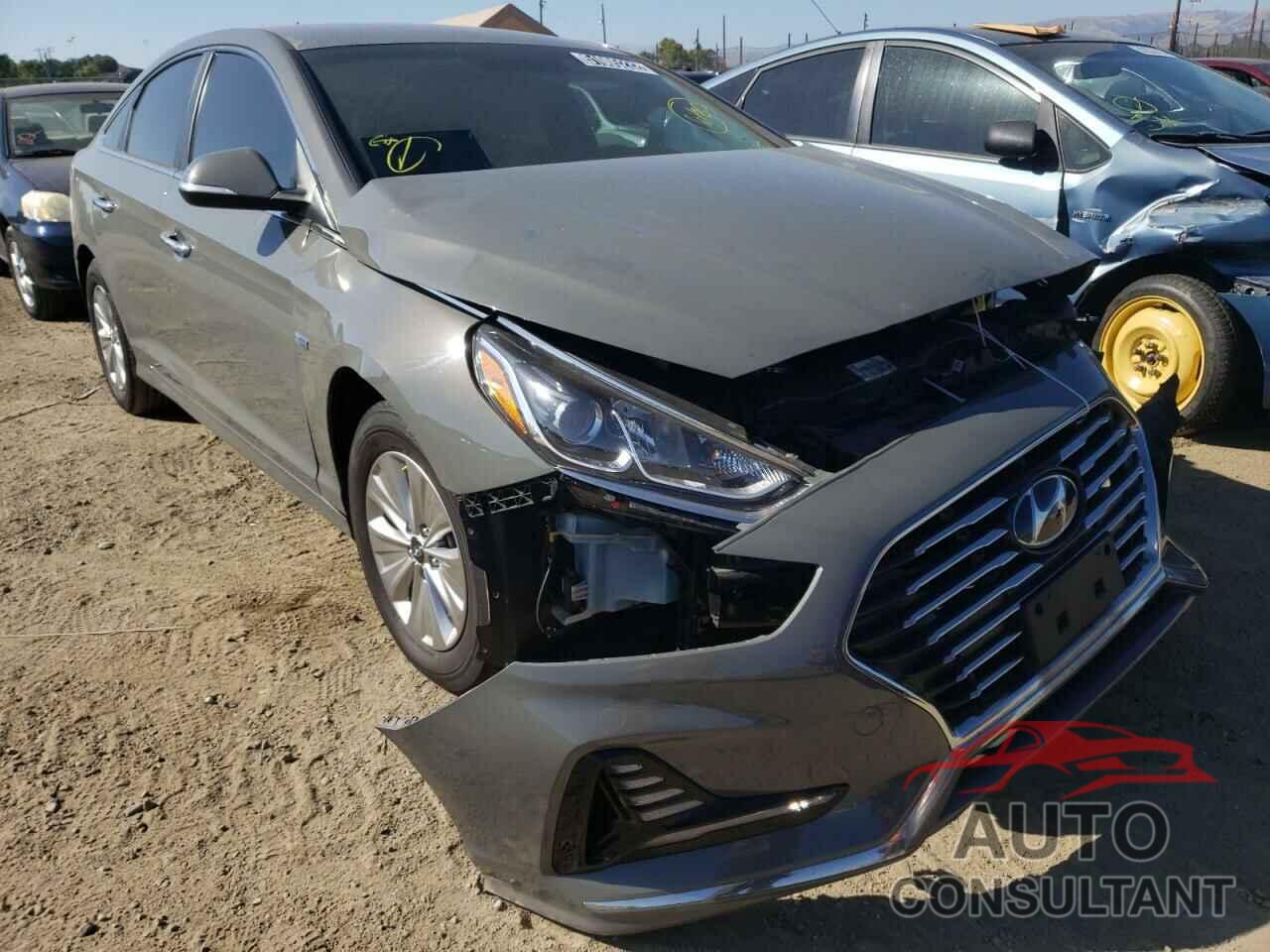 HYUNDAI SONATA 2019 - KMHE24L31KA094055