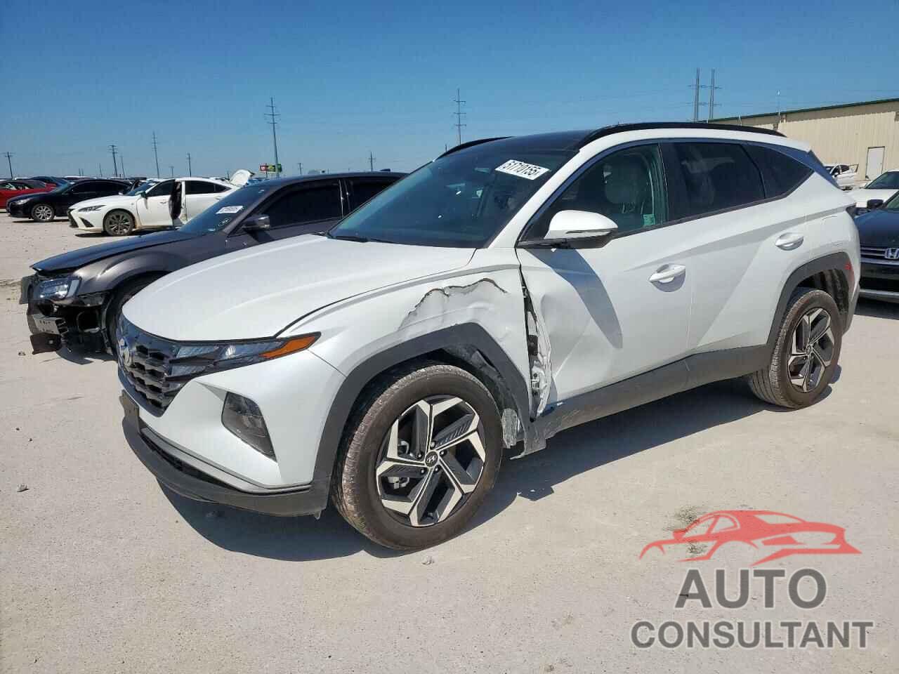 HYUNDAI TUCSON 2024 - KM8JCCD11RU205196