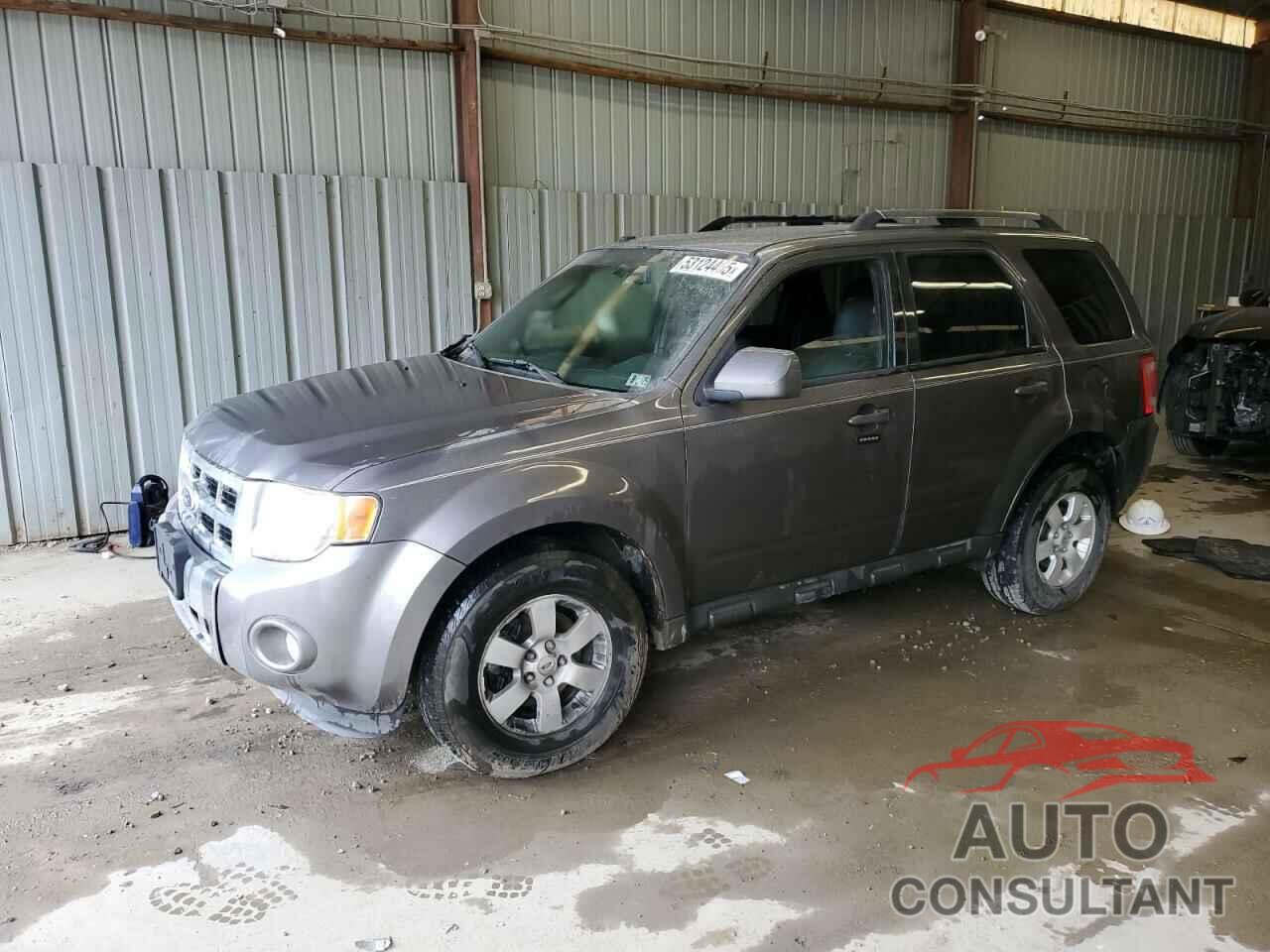 FORD ESCAPE 2010 - 1FMCU9EG2AKC70893