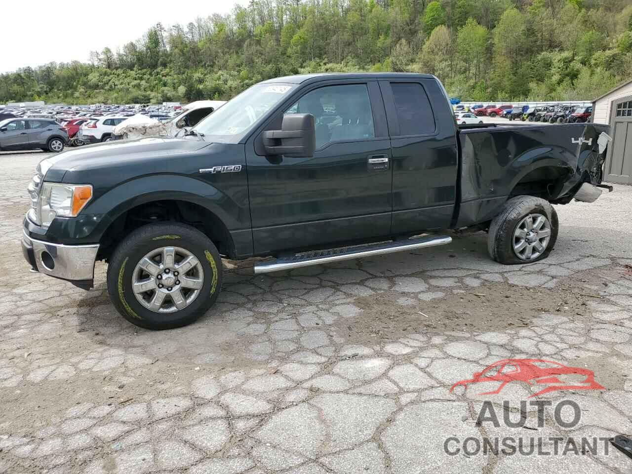 FORD F-150 2013 - 1FTFX1EF9DFA28620
