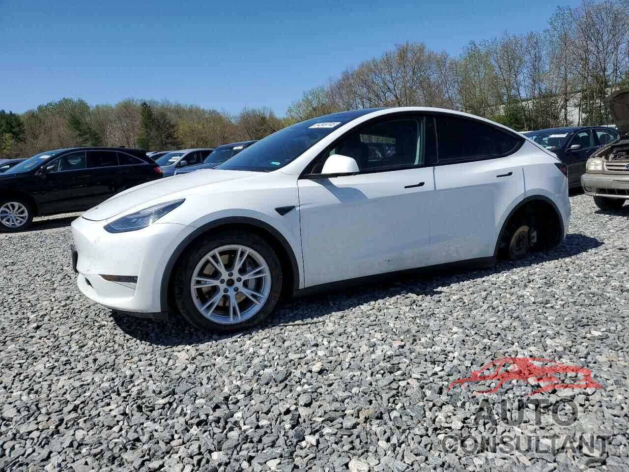 TESLA MODEL Y 2021 - 5YJYGDEE1MF119872