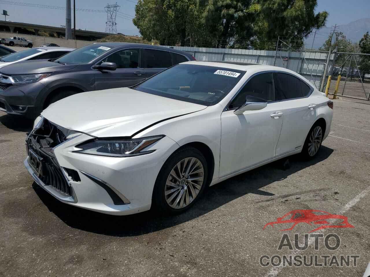 LEXUS ES300 2019 - JTHB21B1XK2006800