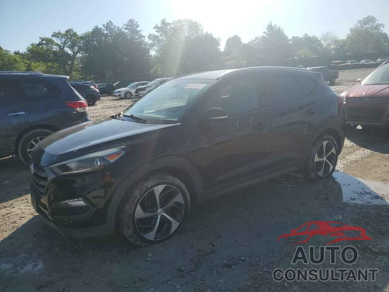 HYUNDAI TUCSON 2016 - KM8J3CA26GU165188