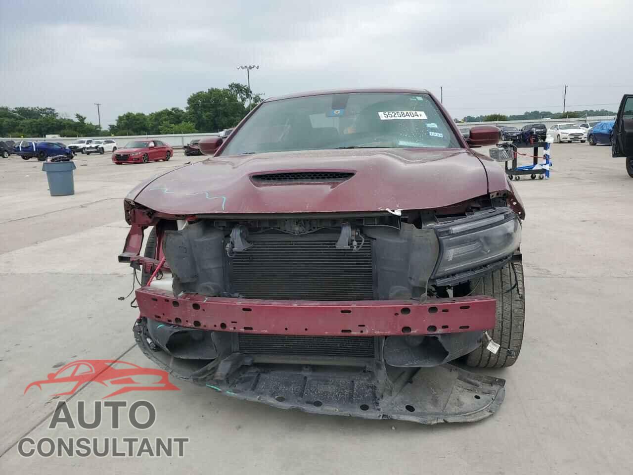 DODGE CHARGER 2019 - 2C3CDXHG4KH545875