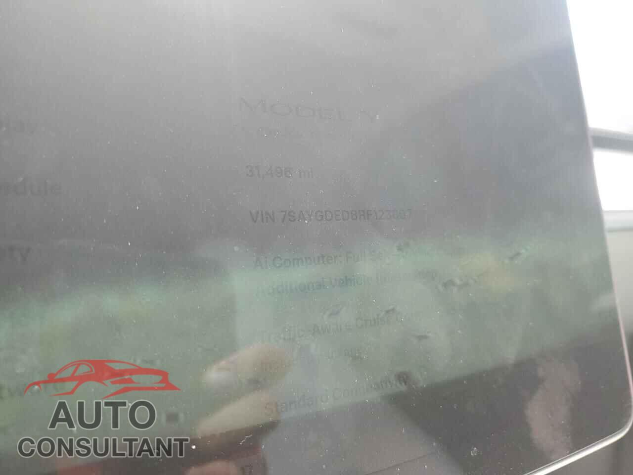 TESLA MODEL Y 2024 - 7SAYGDED8RF123807