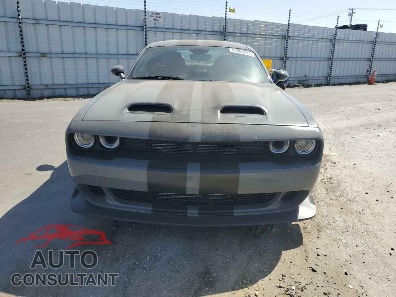DODGE CHALLENGER 2019 - 2C3CDZL93KH618304