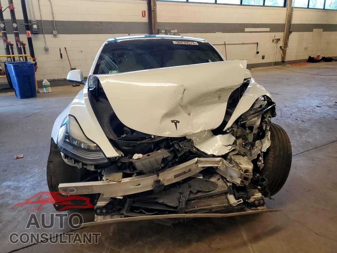 TESLA MODEL 3 2019 - 5YJ3E1EA1KF431876