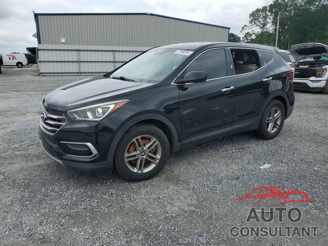 HYUNDAI SANTA FE 2017 - 5NMZTDLB1HH030364