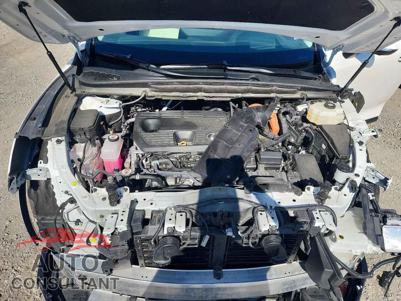 LEXUS UNKNOWN 2024 - 2T2BBMCA9RC054250