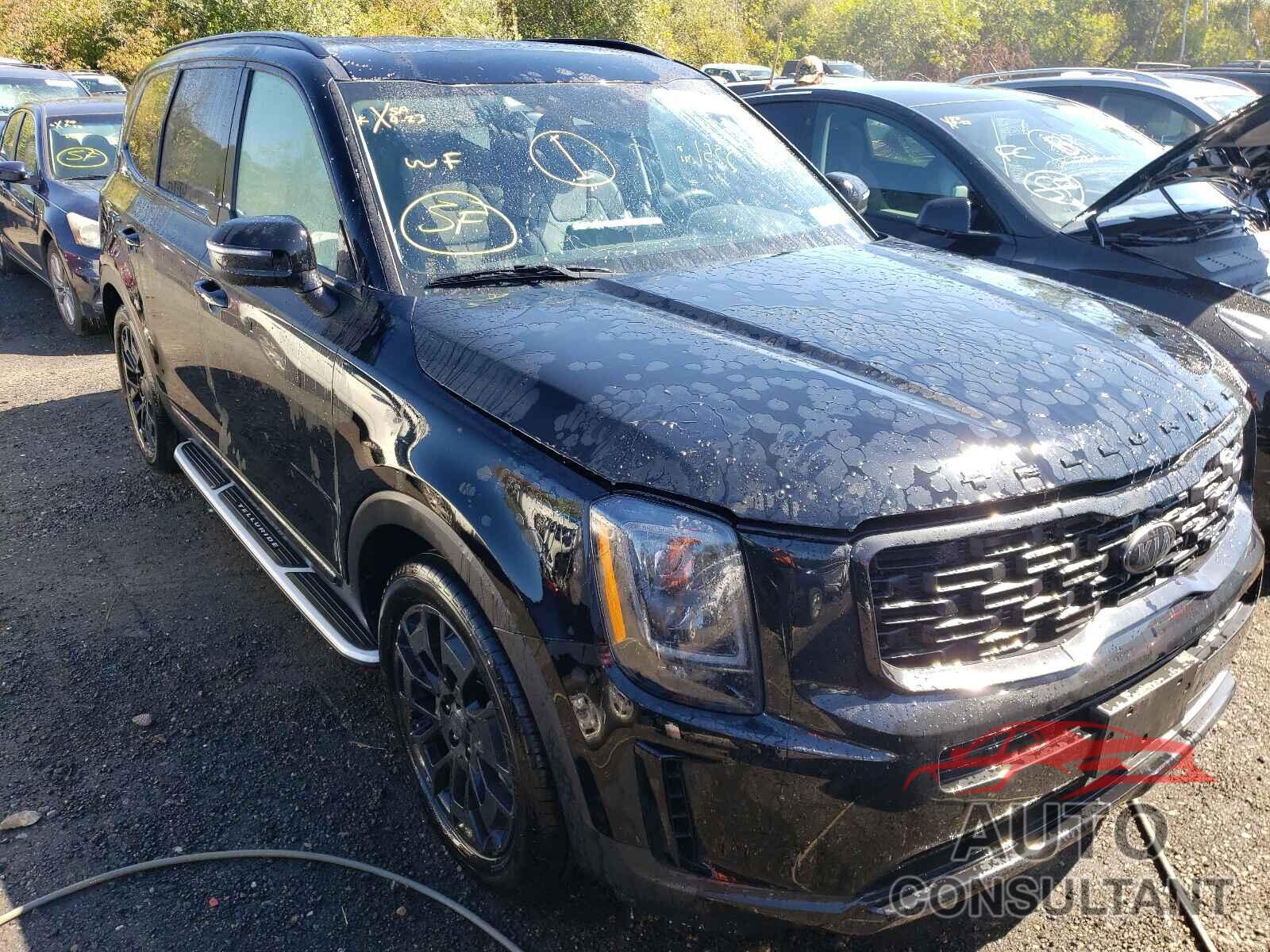 KIA TELLURIDE 2021 - 5XYP3DHC3MG178741