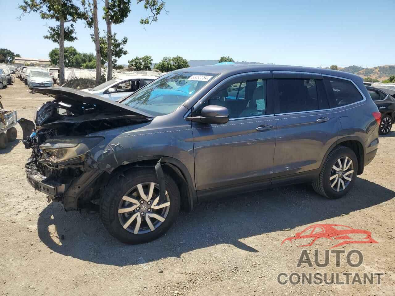 HONDA PILOT 2019 - 5FNYF5H51KB041918