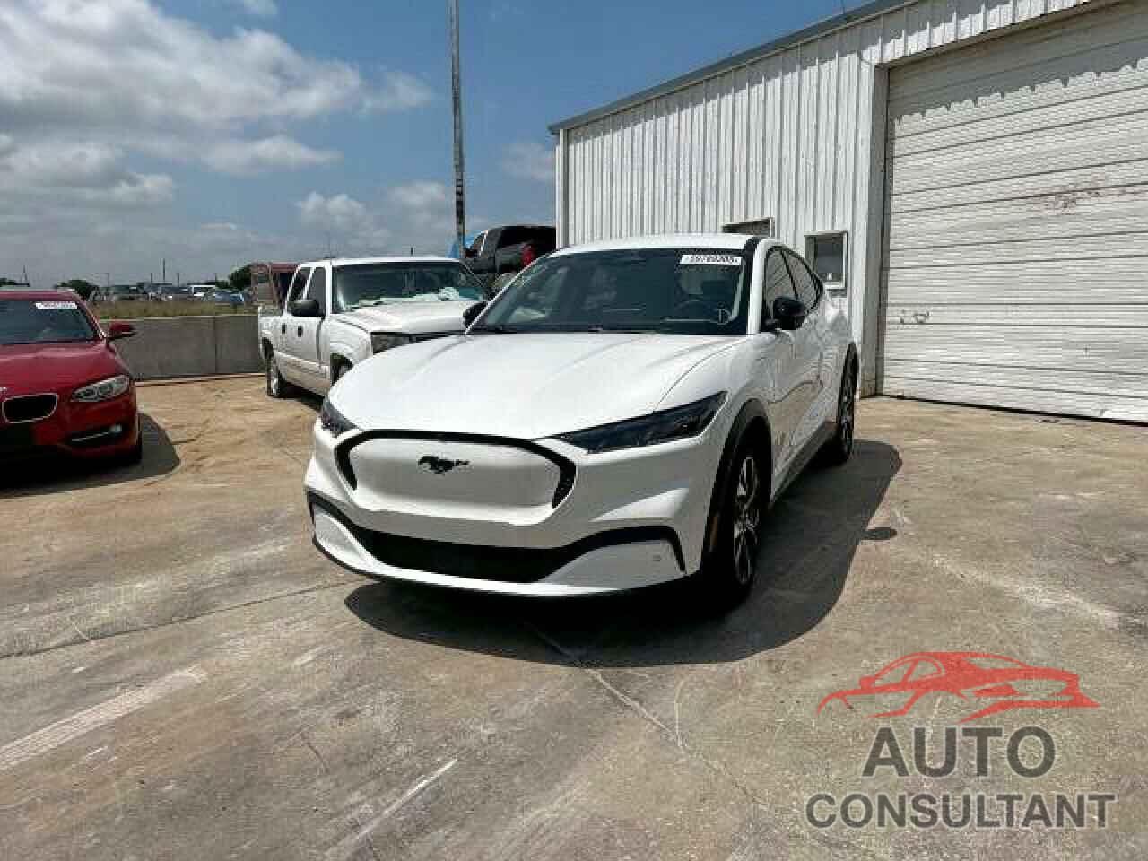 FORD MUSTANG 2024 - 3FMTK1R42RMA43828