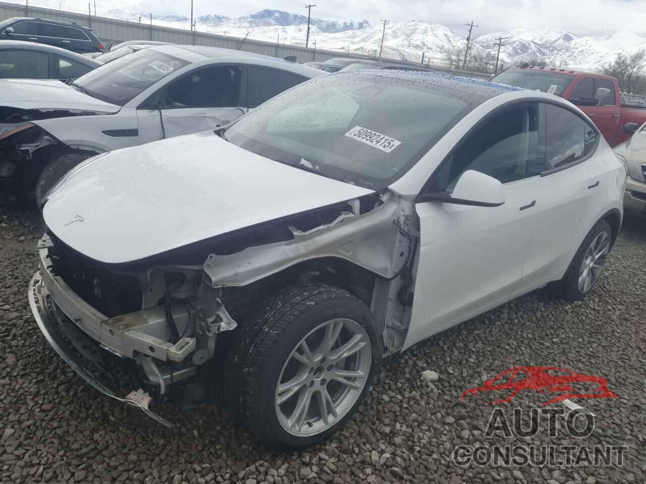 TESLA MODEL Y 2021 - 5YJYGDEE0MF213418