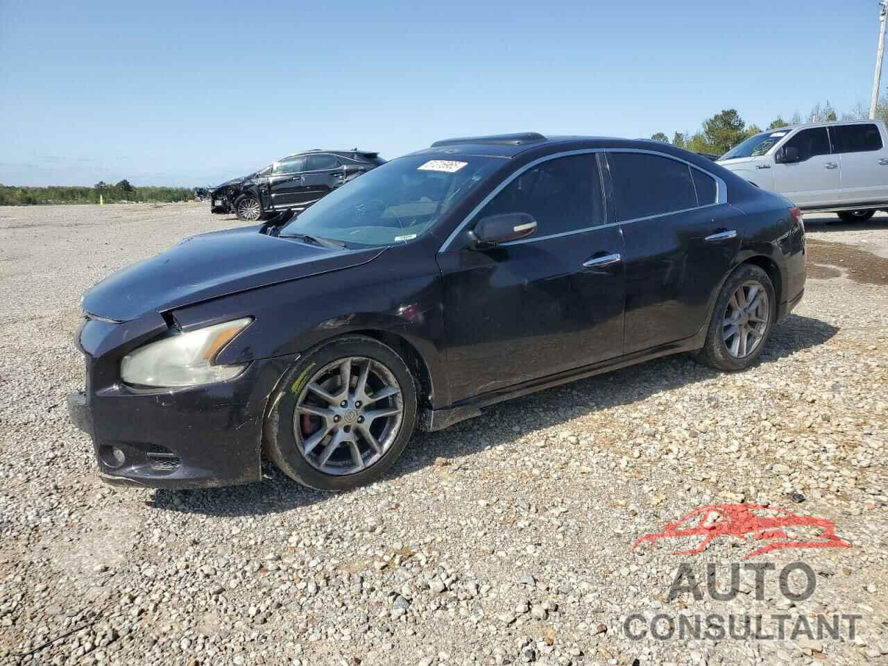 NISSAN MAXIMA 2010 - 1N4AA5AP8AC872880