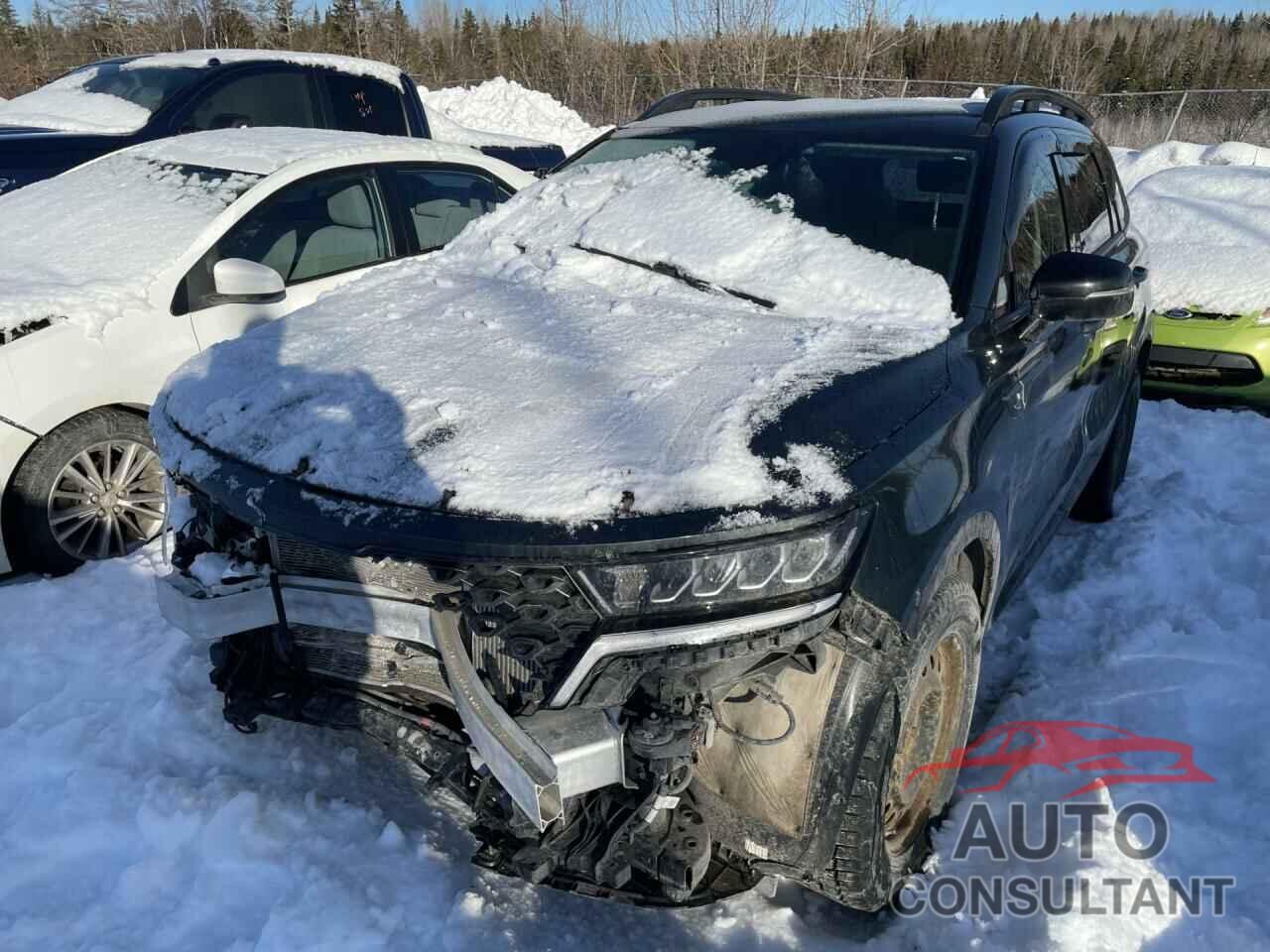 KIA SORENTO 2021 - 5XYRGDLF1MG012586