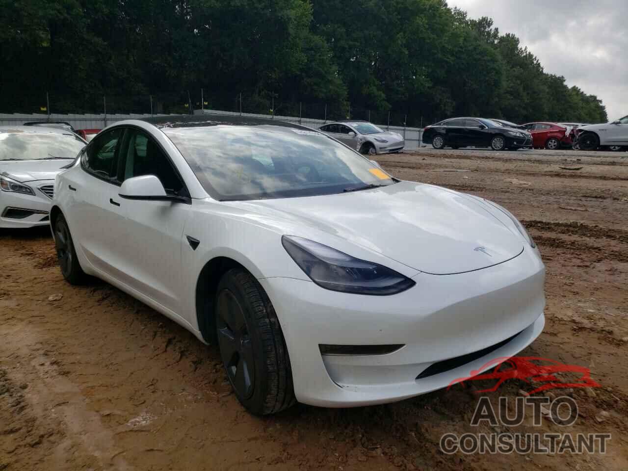 TESLA MODEL 3 2022 - 5YJ3E1EA9NF186197