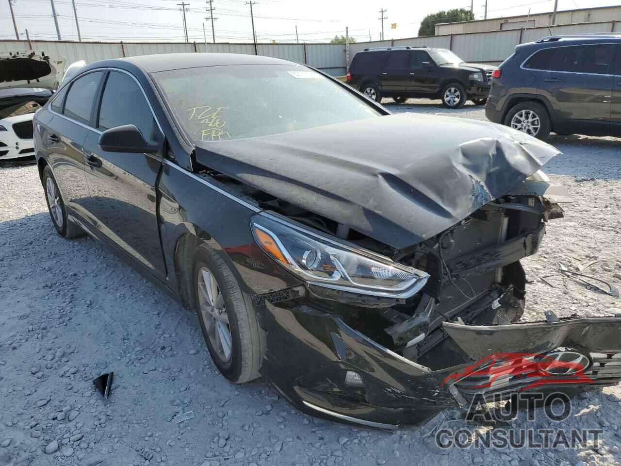 HYUNDAI SONATA 2019 - 5NPE24AF9KH754837