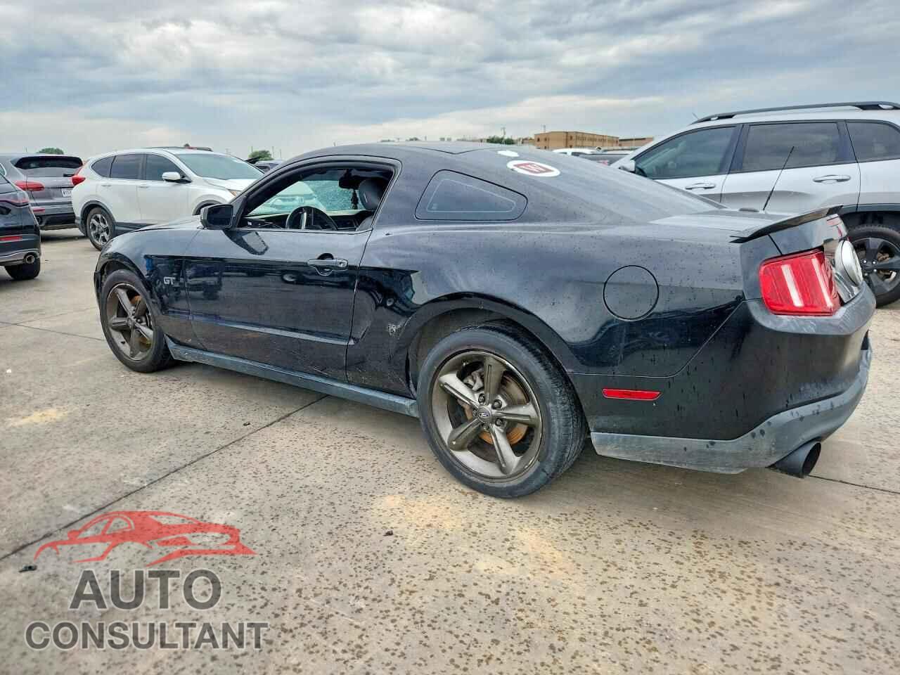 FORD MUSTANG 2010 - 1ZVBP8CH8A5141436