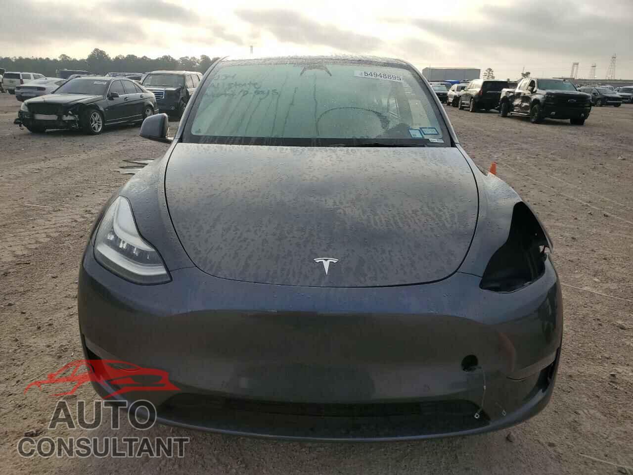 TESLA MODEL Y 2021 - 5YJYGDEE5MF286185