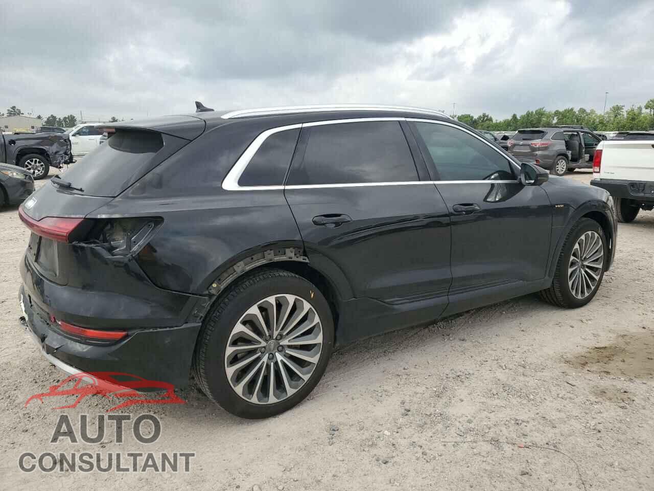 AUDI E-TRON 2019 - WA1VABGE4KB021614