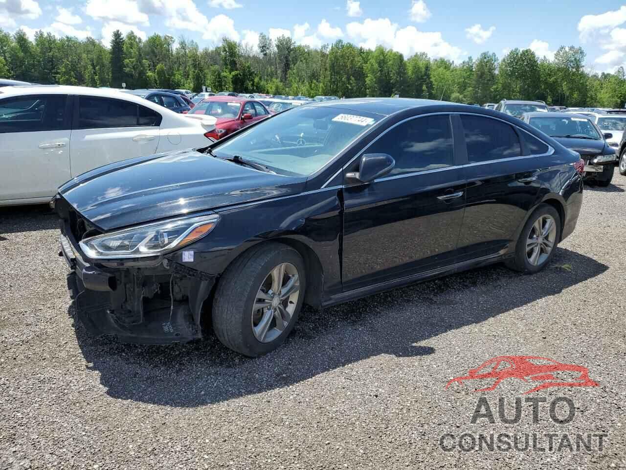 HYUNDAI SONATA 2019 - 5NPE34AF3KH786258