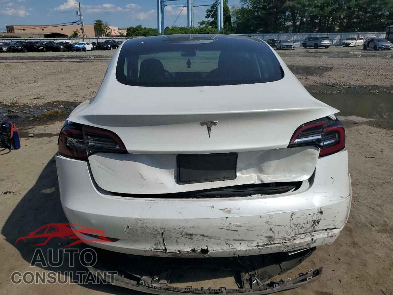TESLA MODEL 3 2019 - 5YJ3E1EA4KF436571