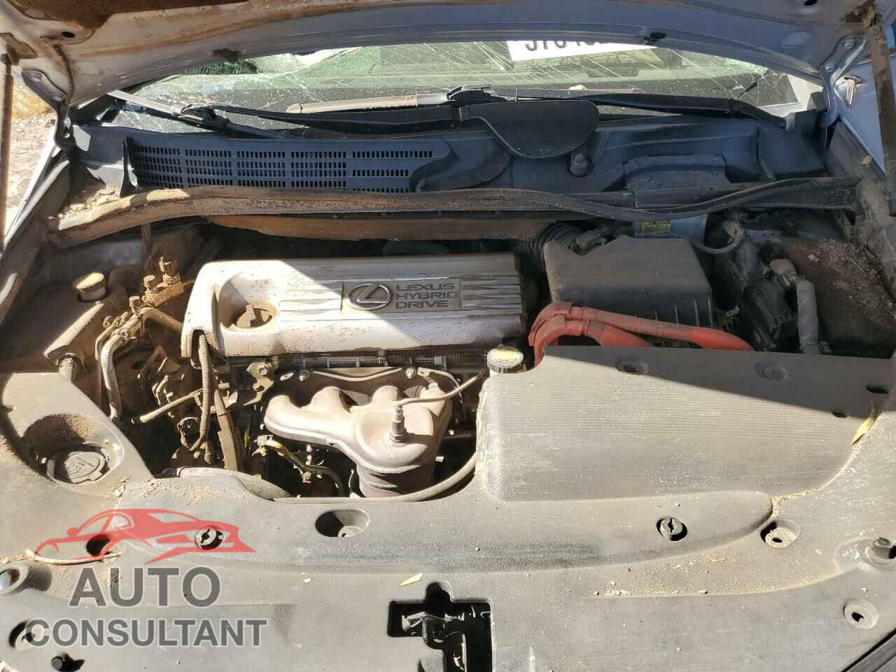 LEXUS HS 2010 - JTHBB1BA5A2004841
