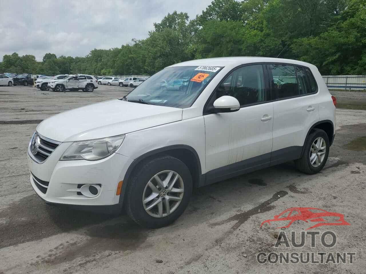 VOLKSWAGEN TIGUAN 2011 - WVGAV7AX0BW528675