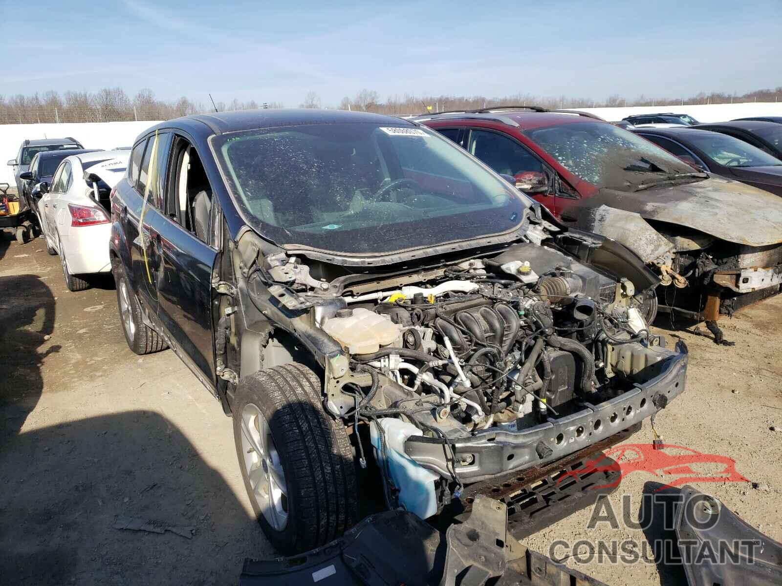 FORD ESCAPE 2016 - 1FMCU0G70GUC75712