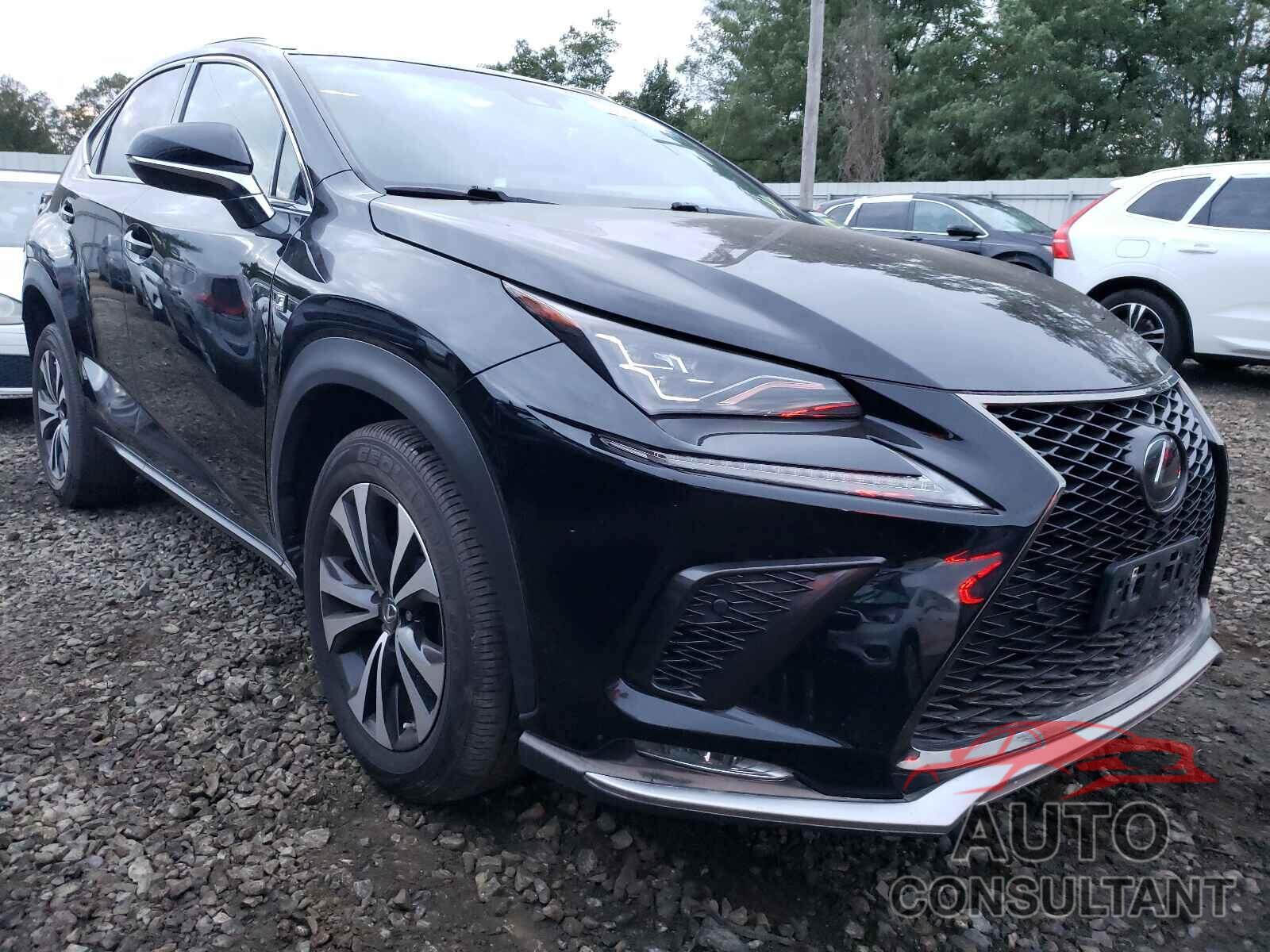 LEXUS NX 2019 - JTJBARBZ7K2189921