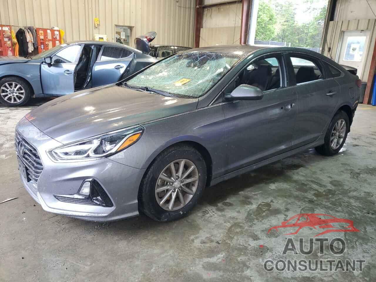 HYUNDAI SONATA 2019 - 5NPE24AF9KH819668