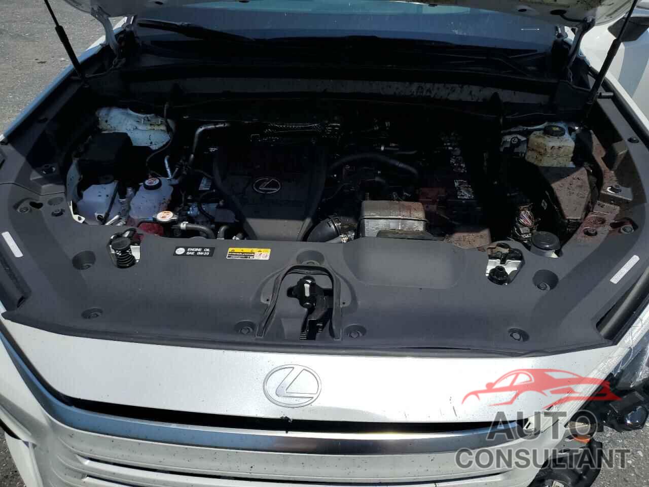 LEXUS TX 350 BAS 2024 - 5TDAAAB66RS008736