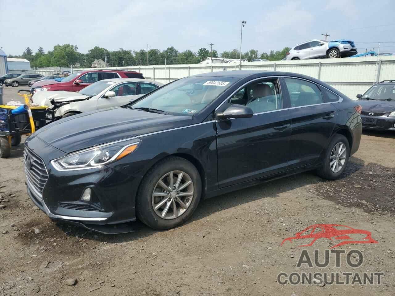 HYUNDAI SONATA 2019 - 5NPE24AF1KH780395