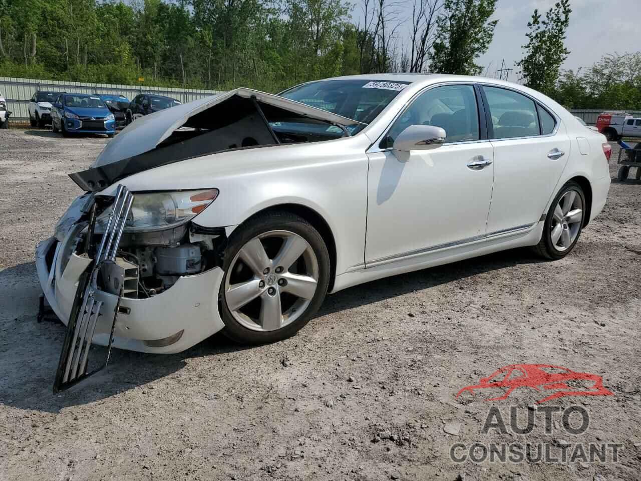 LEXUS LS460 2010 - JTHBL5EF0A5097424
