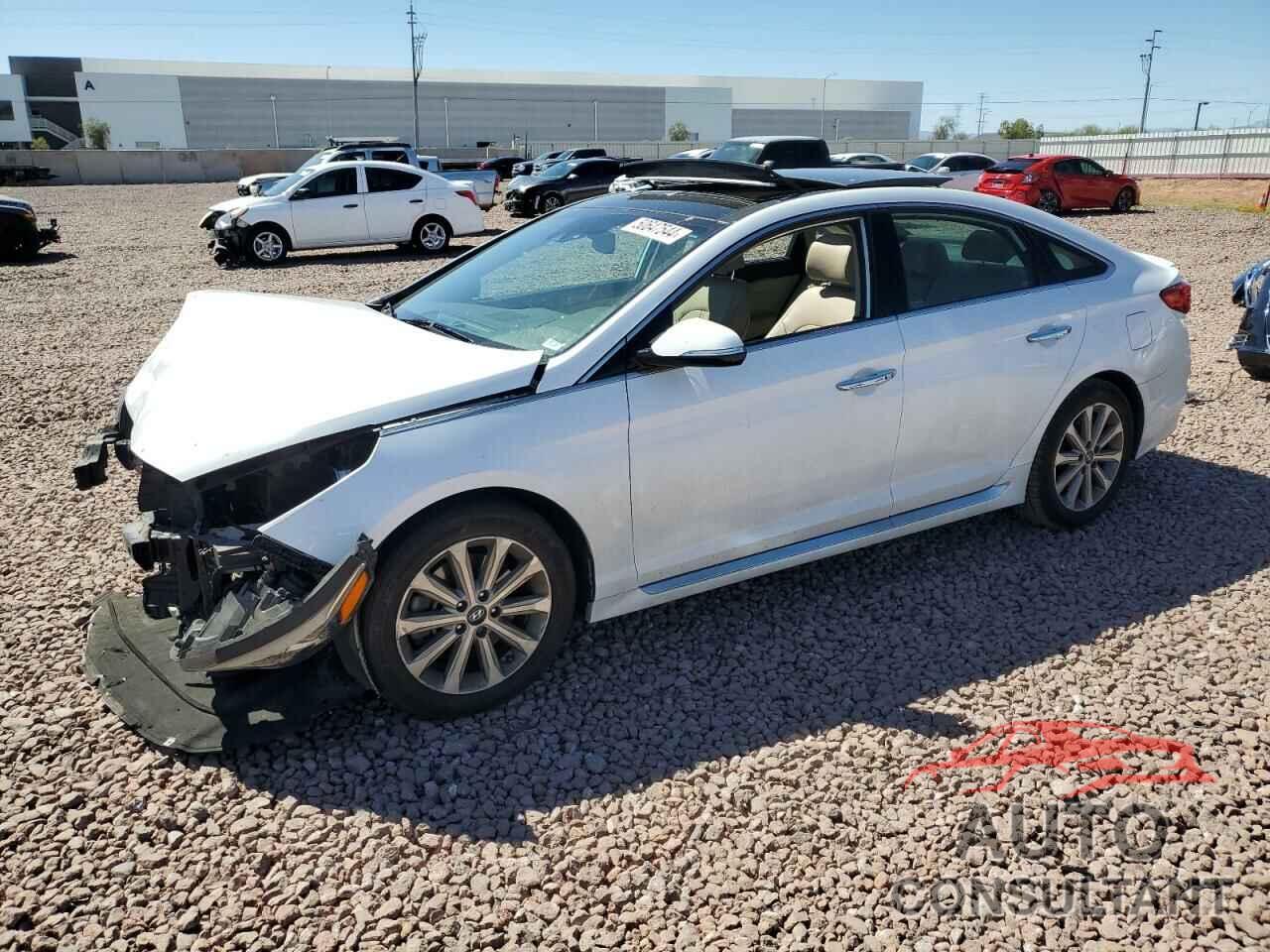 HYUNDAI SONATA 2016 - 5NPE34AF1GH359832