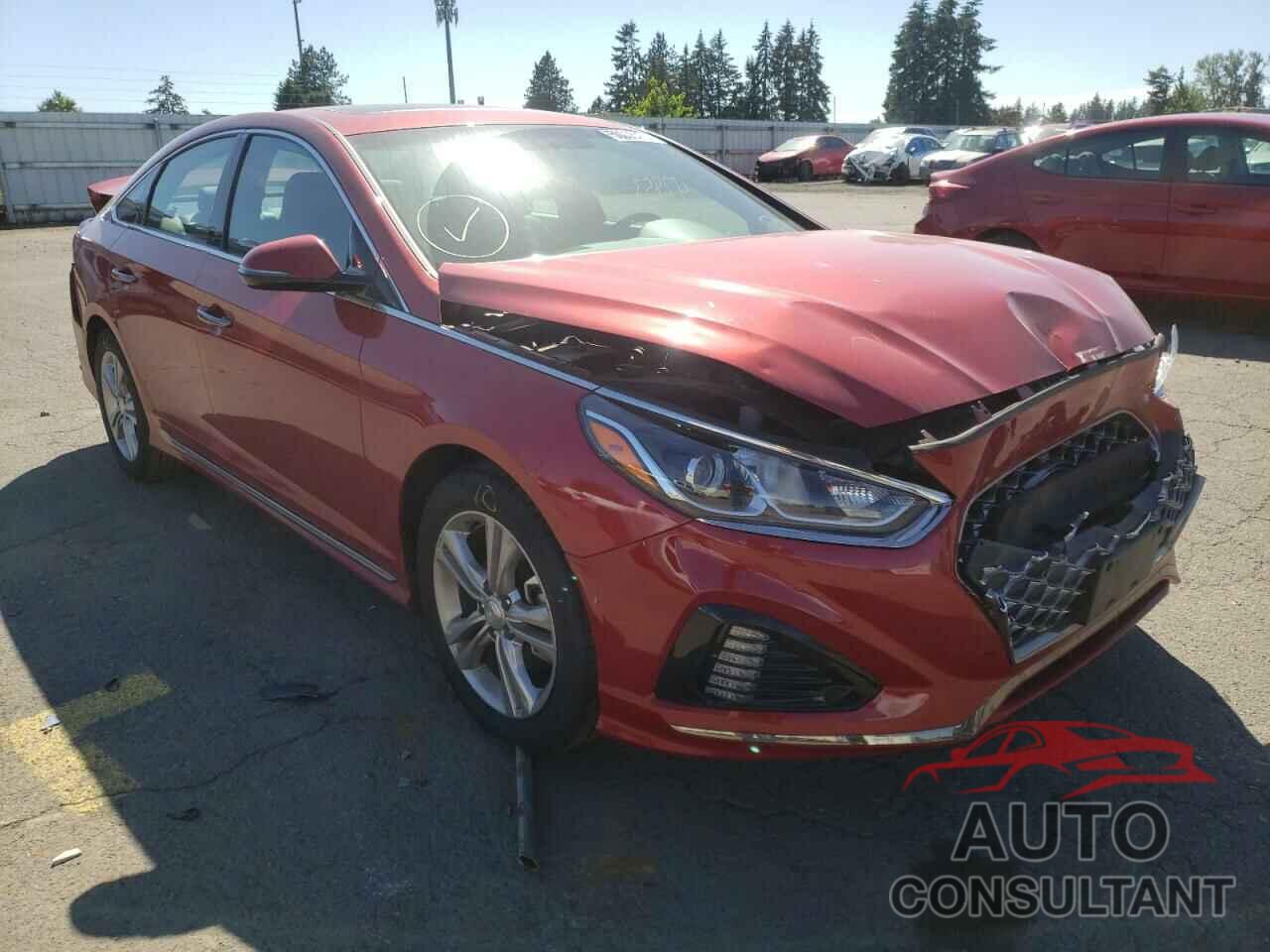 HYUNDAI SONATA 2018 - 5NPE34AF5JH696365